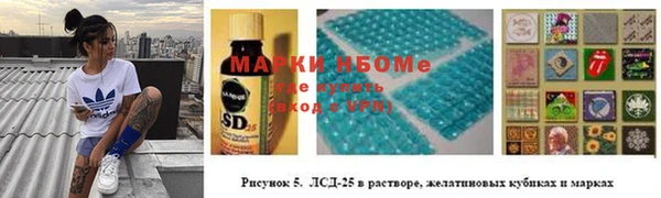 МДПВ Бердск