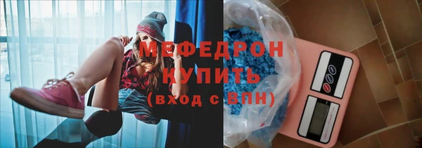 индика Нижний Тагил