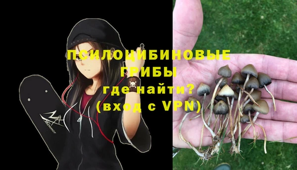 твердый Покачи