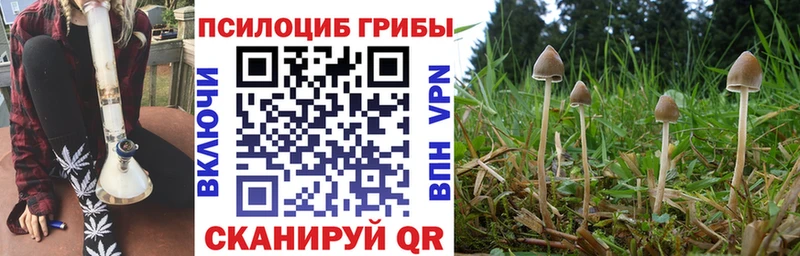 Галлюциногенные грибы GOLDEN TEACHER  Нефтегорск 